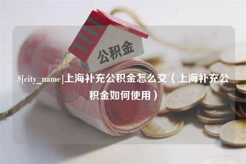 天津上海补充公积金怎么交（上海补充公积金如何使用）